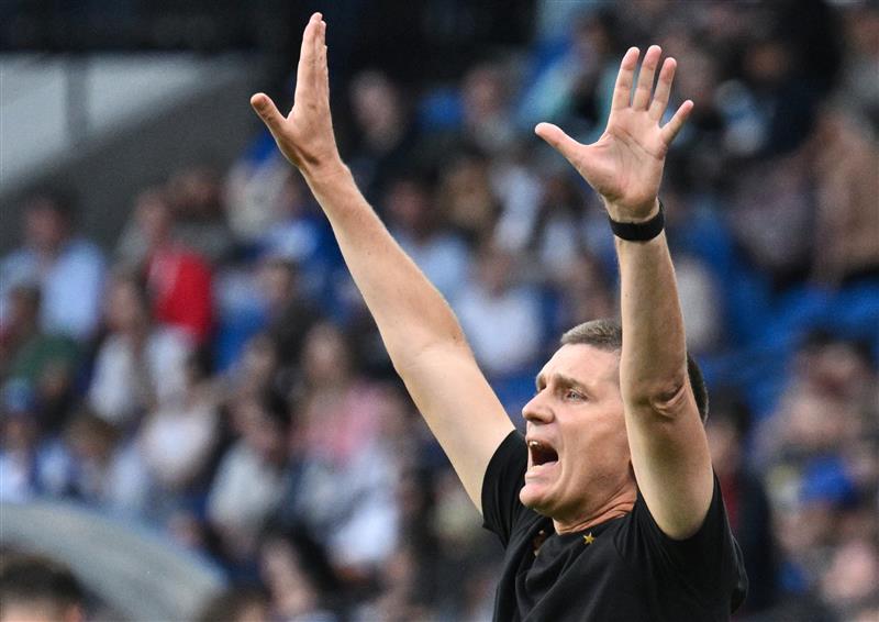 Srđan Blagojević, Partizan