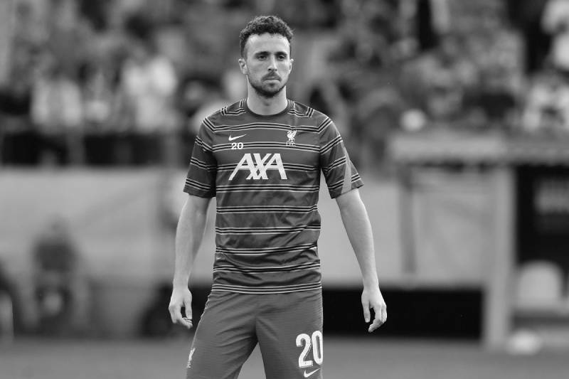 Diogo Žota